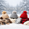 Scarves & Hats