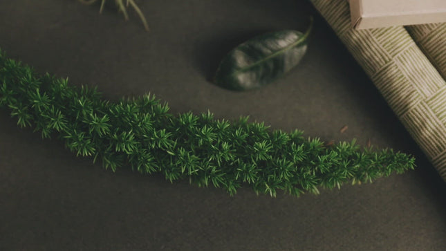 Eye Mask - Greenhouse